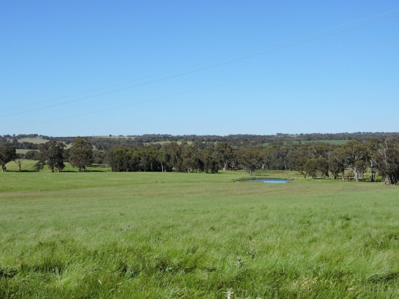 1478 Wombat Road, Wombat via, Young NSW 2594