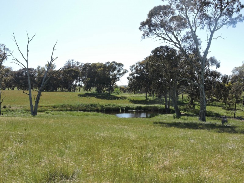 1478 Wombat Road, Wombat via, Young NSW 2594