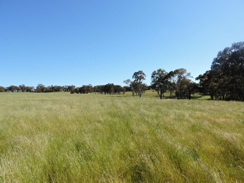 1478 Wombat Road, Wombat via, Young NSW 2594