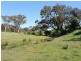 1478 Wombat Road, Wombat via, Young NSW 2594