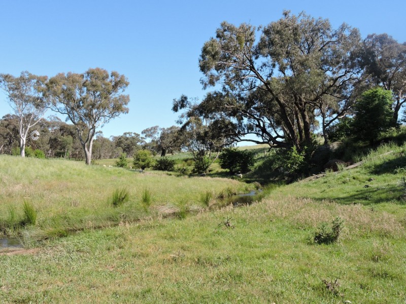 1478 Wombat Road, Wombat via, Young NSW 2594