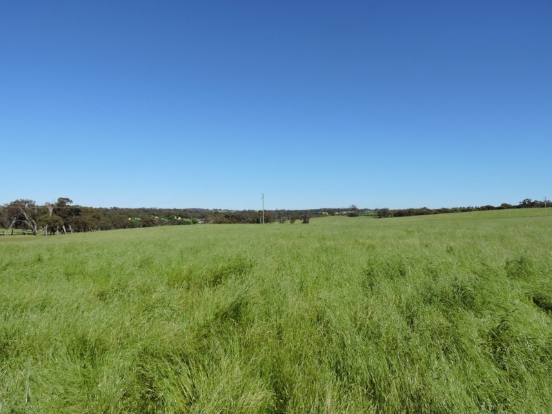 1478 Wombat Road, Wombat via, Young NSW 2594