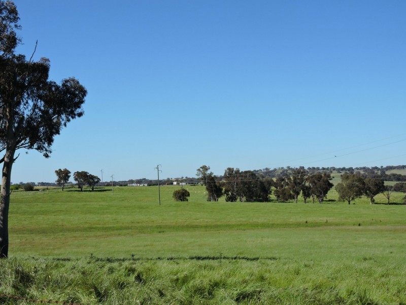 1478 Wombat Road, Wombat via, Young NSW 2594