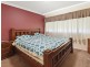 3290 Moppity Road, Young NSW 2594