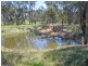 3290 Moppity Road, Young NSW 2594
