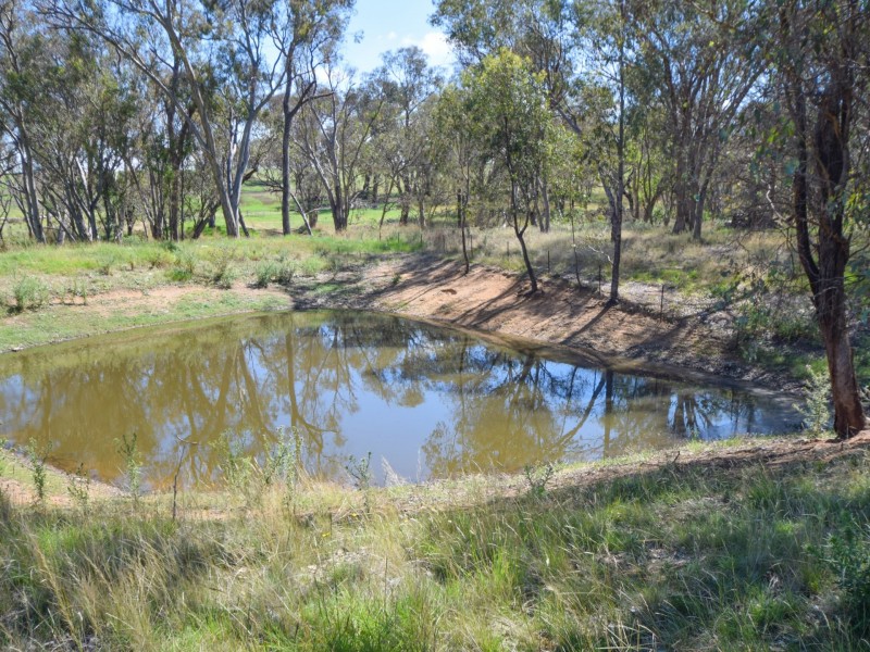 3290 Moppity Road, Young NSW 2594