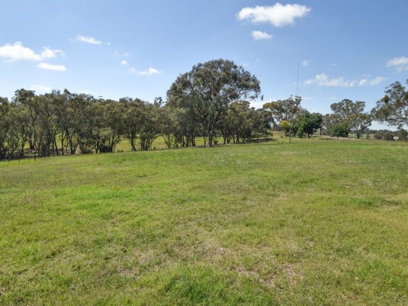 3290 Moppity Road, Young NSW 2594