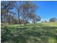 3290 Moppity Road, Young NSW 2594