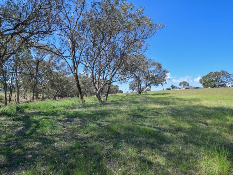 3290 Moppity Road, Young NSW 2594