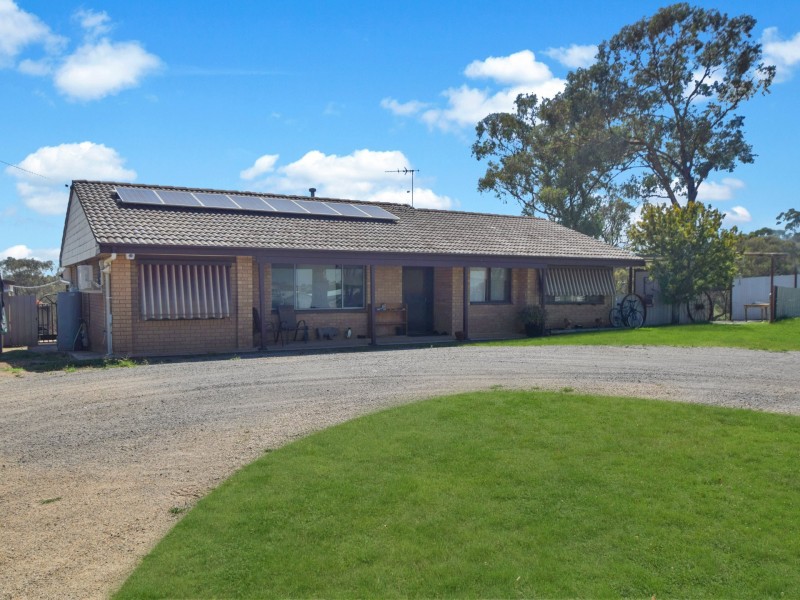 3290 Moppity Road, Young NSW 2594