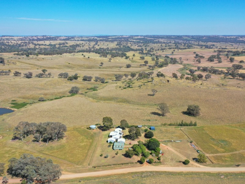 438 Wickham Lane, Young NSW 2594