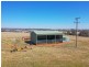 438 Wickham Lane, Young NSW 2594