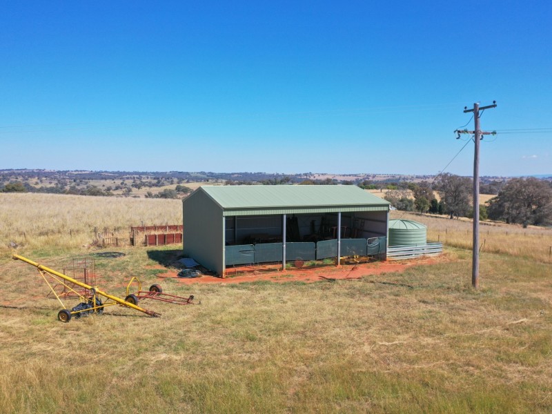 438 Wickham Lane, Young NSW 2594