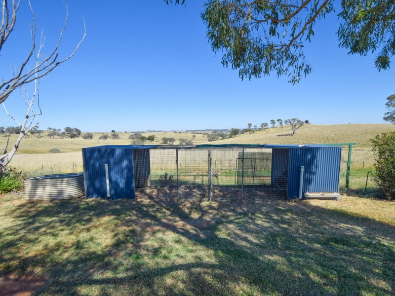 438 Wickham Lane, Young NSW 2594
