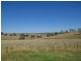 438 Wickham Lane, Young NSW 2594