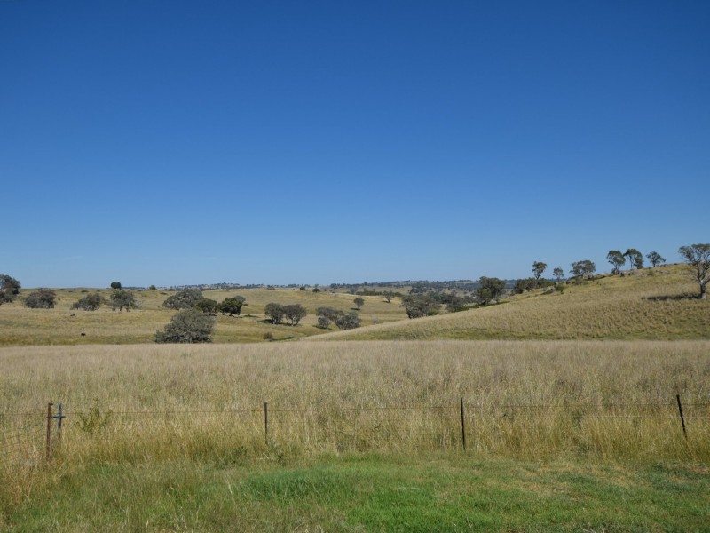 438 Wickham Lane, Young NSW 2594