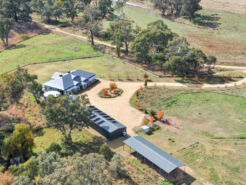 187 Milly Milly Lane, Young NSW 2594