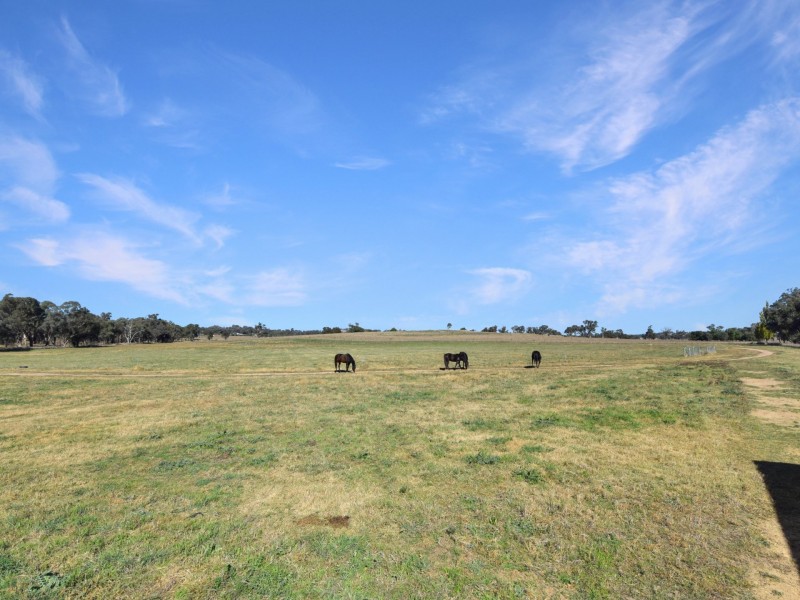 187 Milly Milly Lane, Young NSW 2594