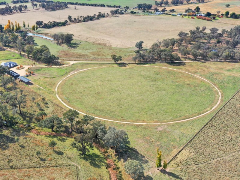 187 Milly Milly Lane, Young NSW 2594