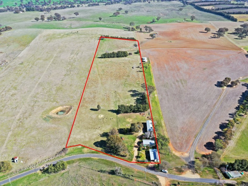 163 Prunevale Rd Prunevale via, Young NSW 2594