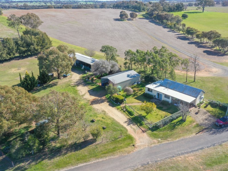 163 Prunevale Rd Prunevale via, Young NSW 2594