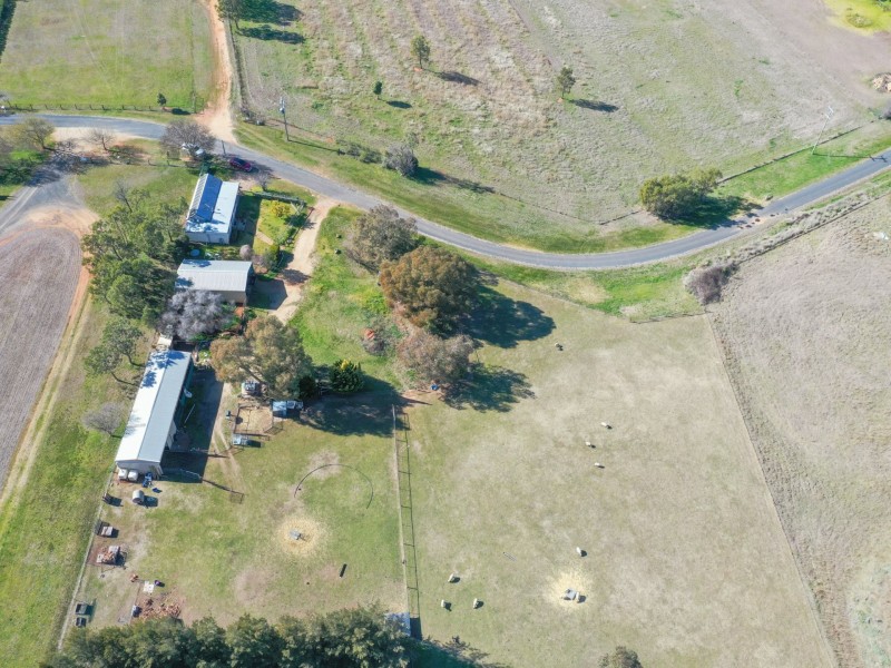 163 Prunevale Rd Prunevale via, Young NSW 2594