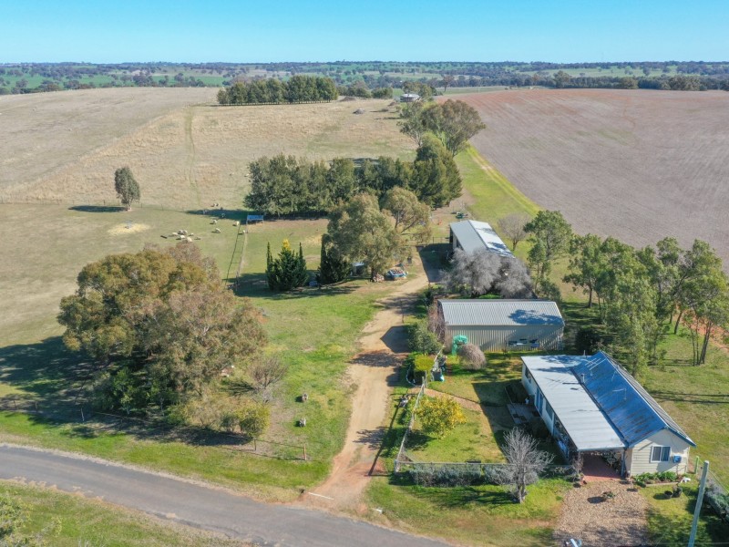 163 Prunevale Rd Prunevale via, Young NSW 2594