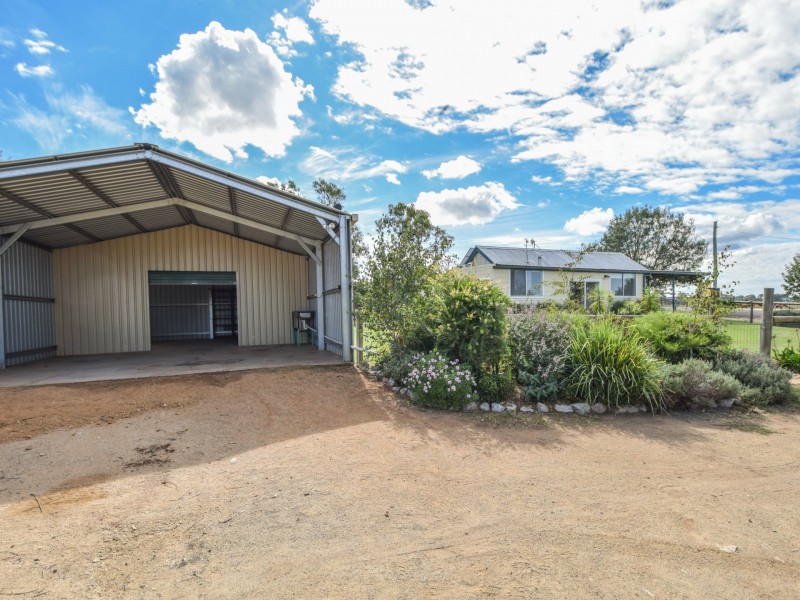 163 Prunevale Rd Prunevale via, Young NSW 2594