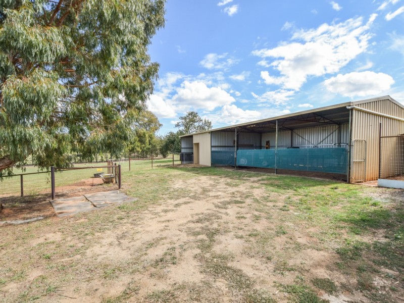 163 Prunevale Rd Prunevale via, Young NSW 2594