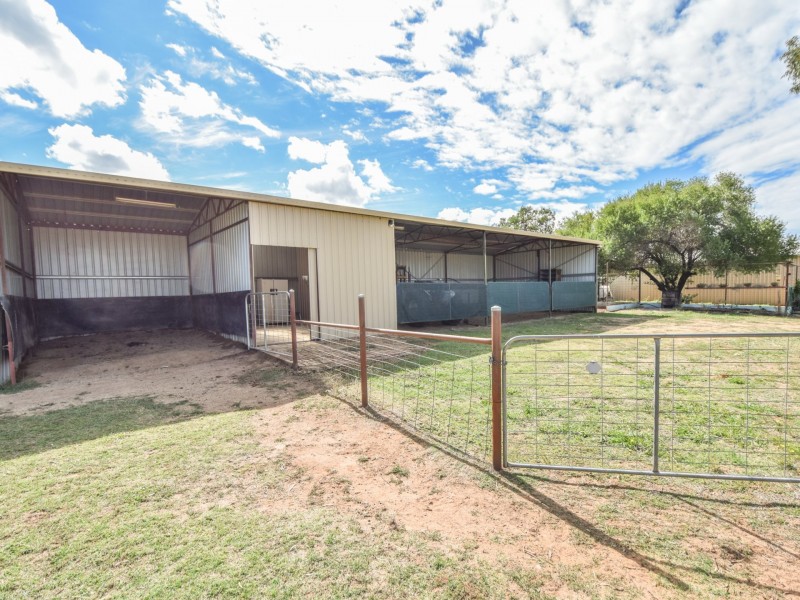 163 Prunevale Rd Prunevale via, Young NSW 2594