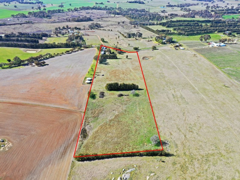 163 Prunevale Rd Prunevale via, Young NSW 2594