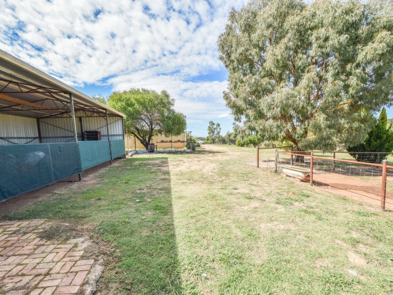 163 Prunevale Rd Prunevale via, Young NSW 2594