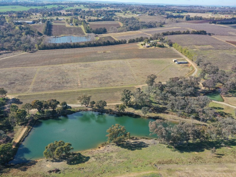 155 Tierneys Road, Young NSW 2594