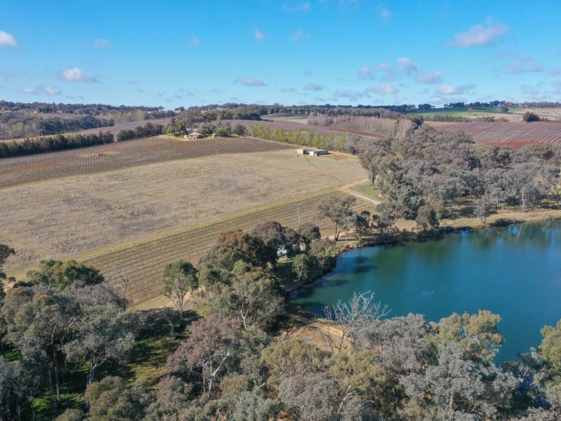 155 Tierneys Road, Young NSW 2594