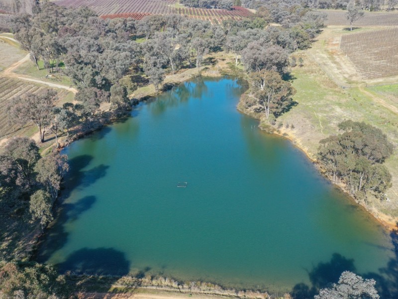 155 Tierneys Road, Young NSW 2594