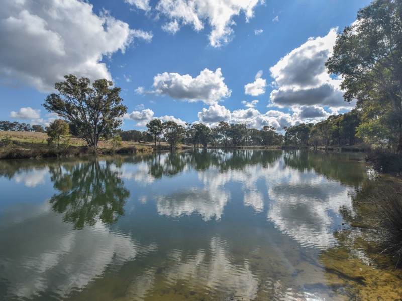 155 Tierneys Road, Young NSW 2594