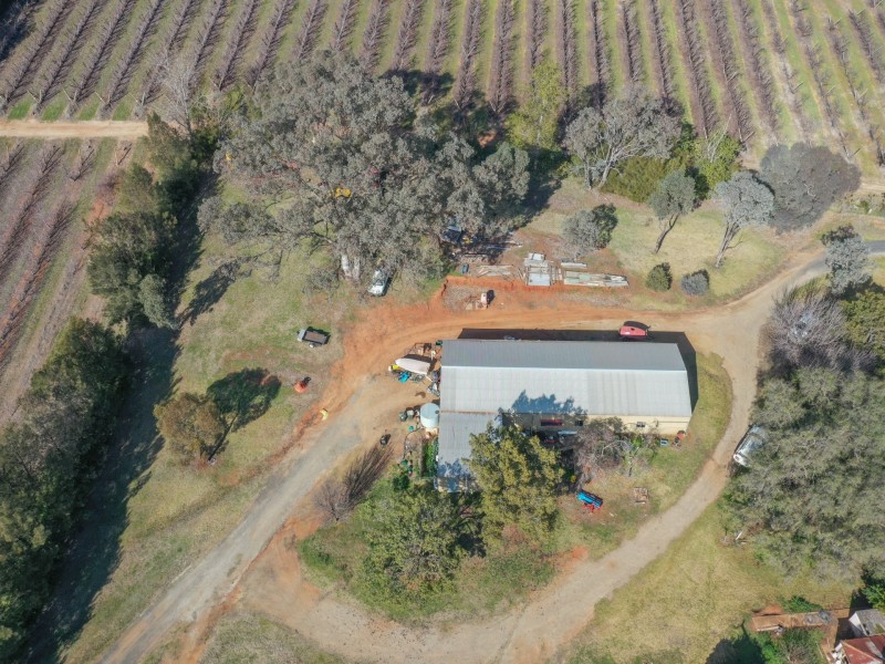 155 Tierneys Road, Young NSW 2594