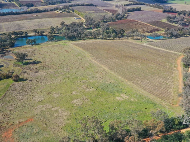 155 Tierneys Road, Young NSW 2594