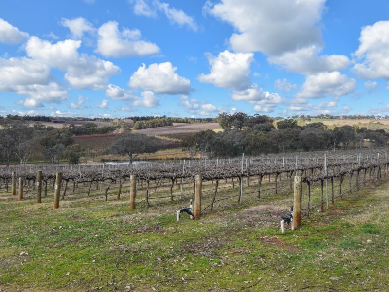 155 Tierneys Road, Young NSW 2594