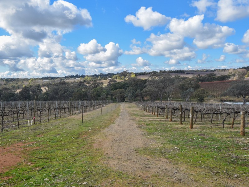 155 Tierneys Road, Young NSW 2594