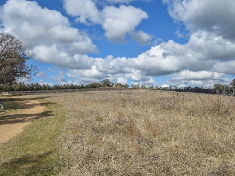 155 Tierneys Road, Young NSW 2594