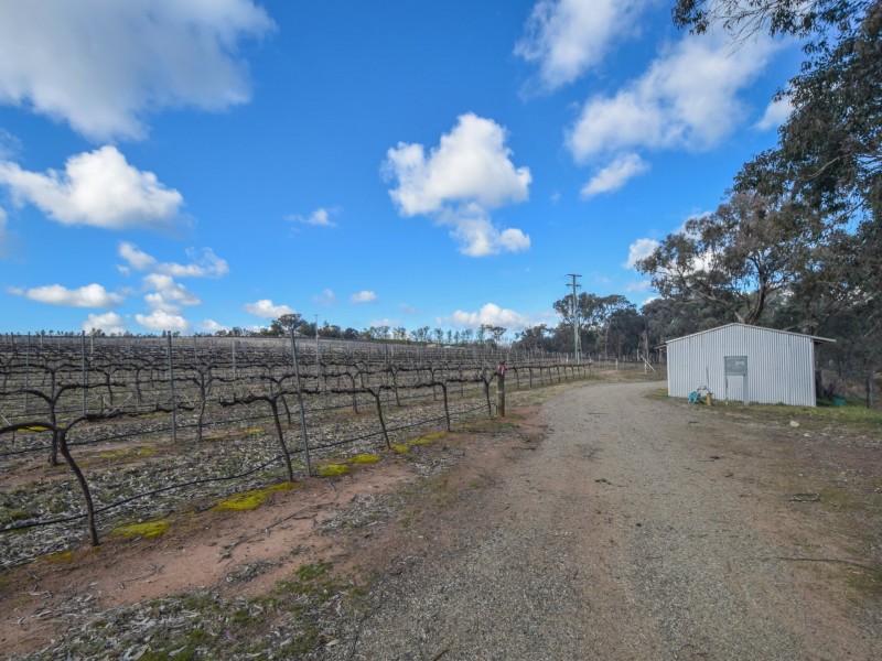 155 Tierneys Road, Young NSW 2594