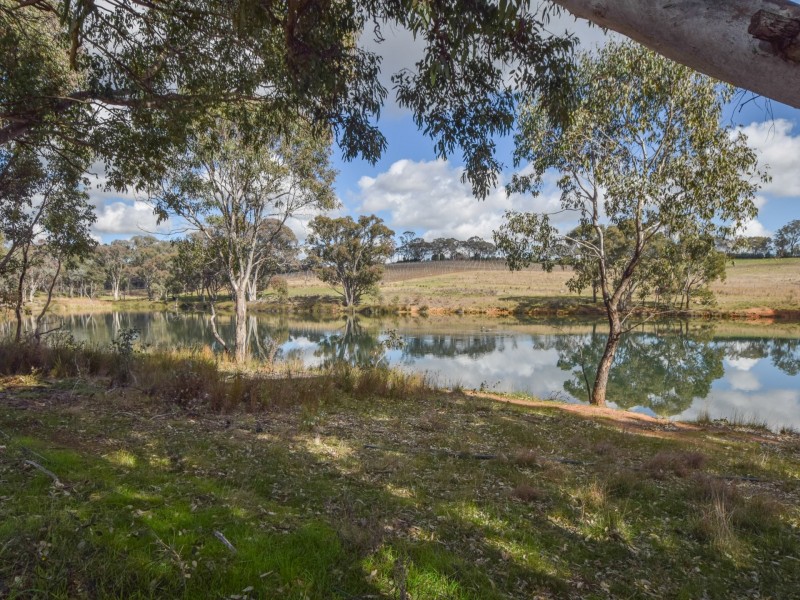 155 Tierneys Road, Young NSW 2594