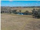 155 Tierneys Road, Young NSW 2594
