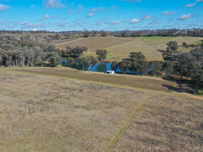 155 Tierneys Road, Young NSW 2594