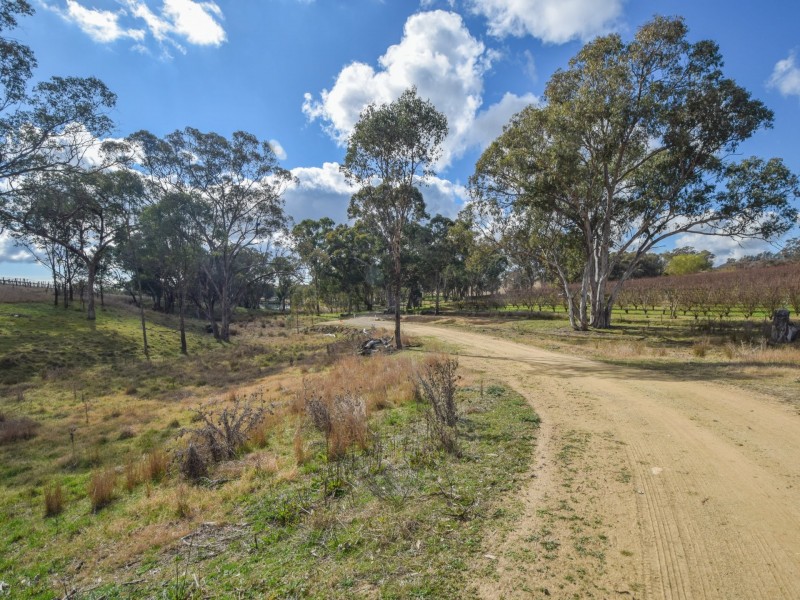 155 Tierneys Road, Young NSW 2594