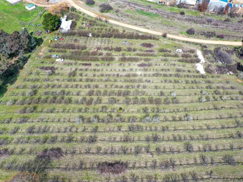 56 Rockdale Road, Young NSW 2594