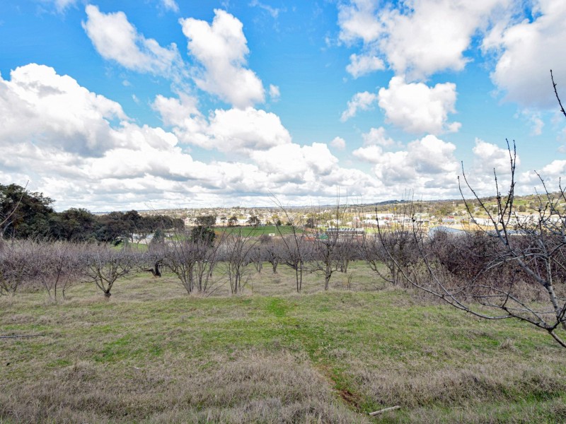 56 Rockdale Road, Young NSW 2594