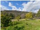 529 Karoopa Lane, Crowther NSW 2803