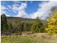 529 Karoopa Lane, Crowther NSW 2803